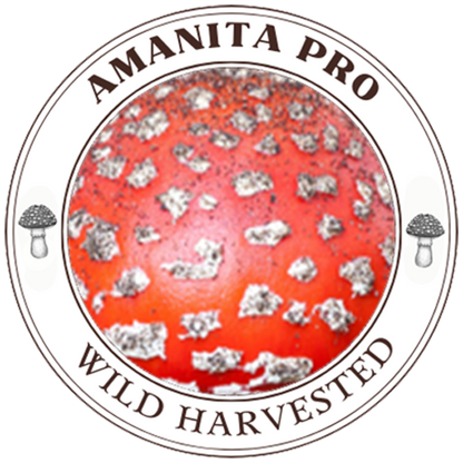 Sticker | AmanitaPro Logo